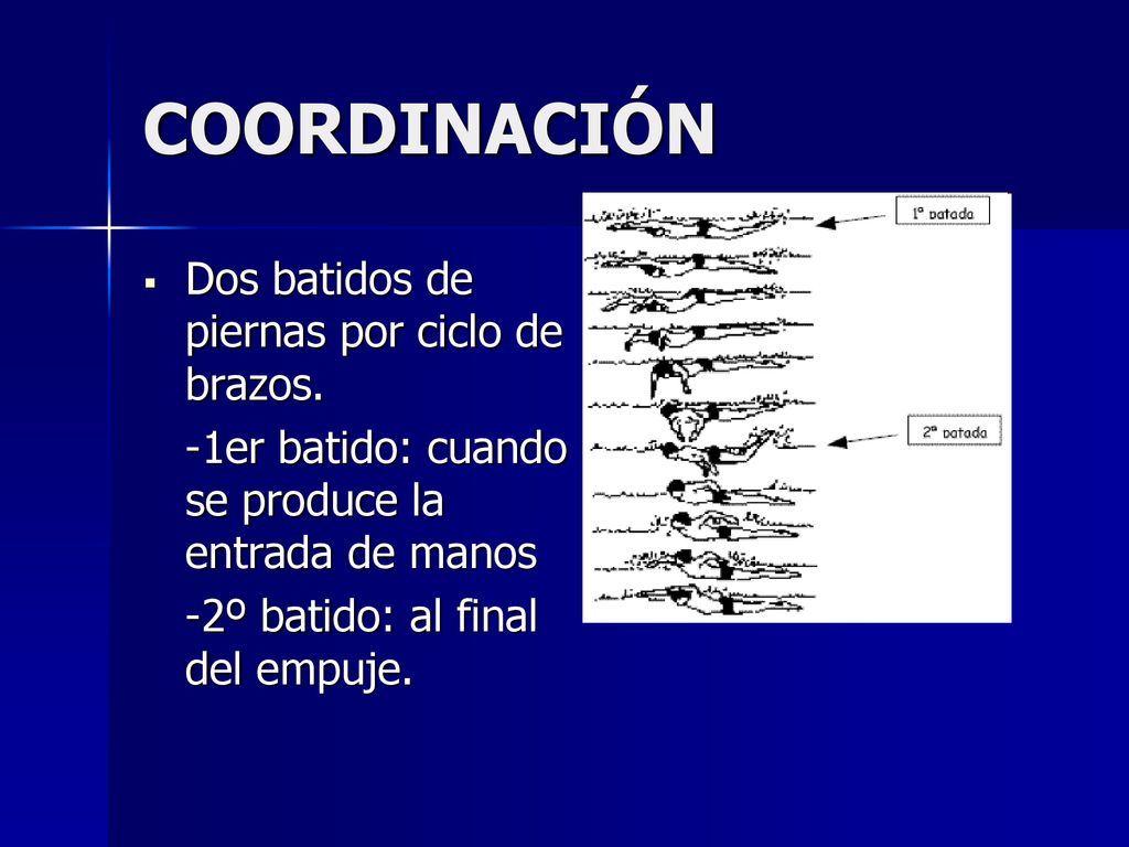 COORDINACIÓN Dos batidos de piernas por ciclo de brazos.