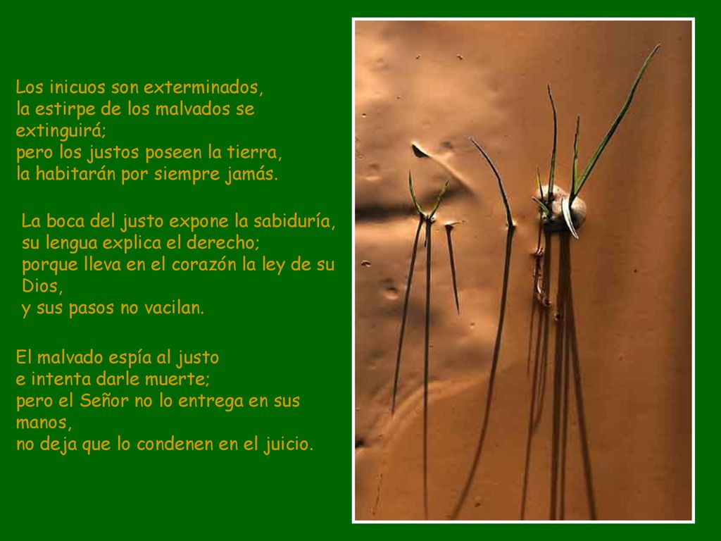 Los inicuos son exterminados, la estirpe de los malvados se extinguirá; pero los justos poseen la tierra, la habitarán por siempre jamás.