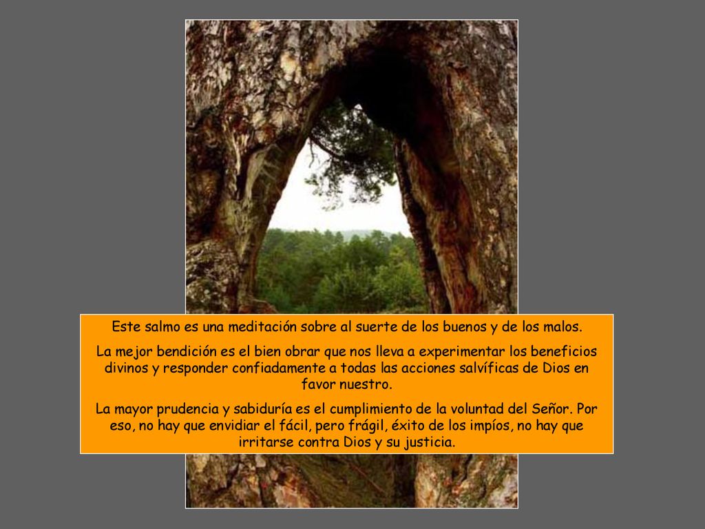 Este salmo es una meditación sobre al suerte de los buenos y de los malos.