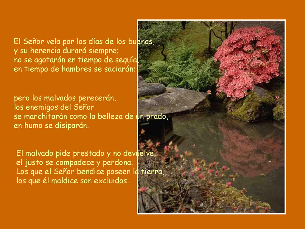 El Señor vela por los días de los buenos, y su herencia durará siempre; no se agotarán en tiempo de sequía, en tiempo de hambres se saciarán;