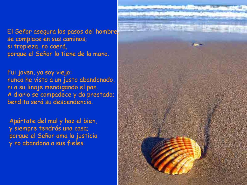 El Señor asegura los pasos del hombre, se complace en sus caminos; si tropieza, no caerá, porque el Señor lo tiene de la mano.