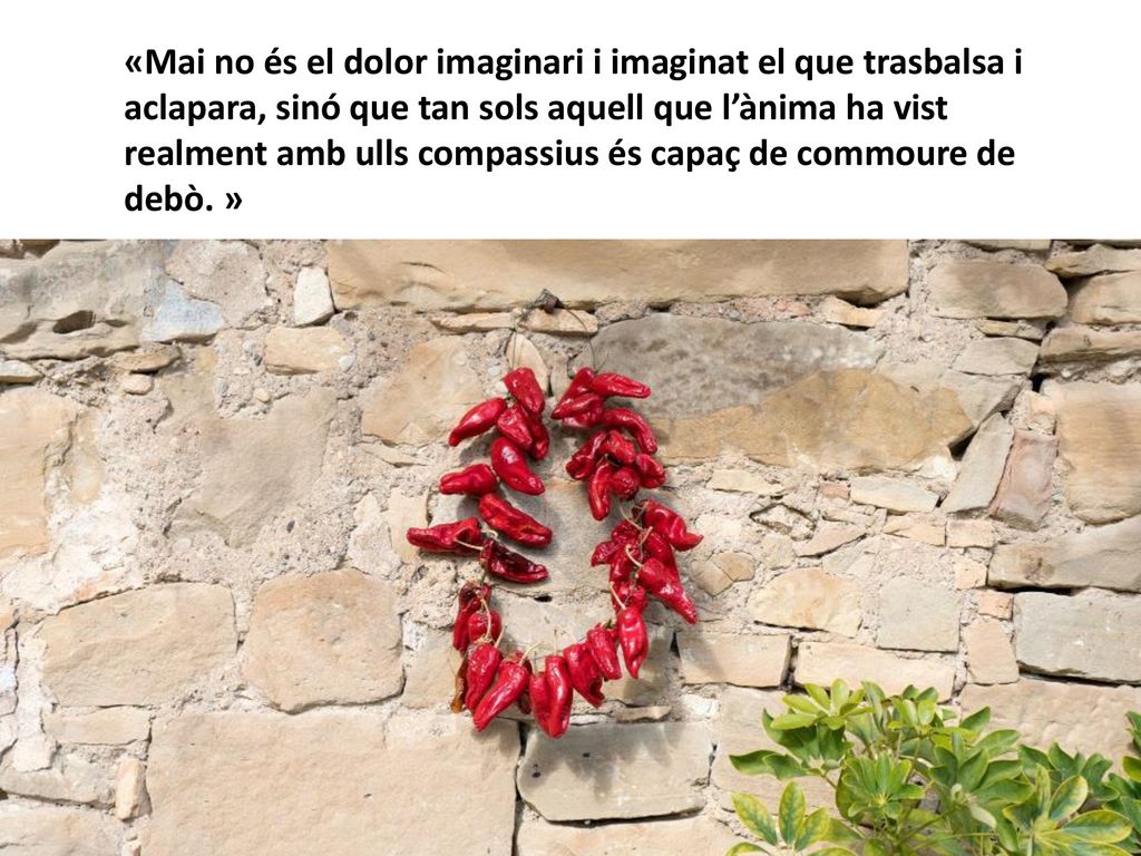 «Mai no és el dolor imaginari i imaginat el que trasbalsa i aclapara, sinó que tan sols aquell que l’ànima ha vist realment amb ulls compassius és capaç de commoure de debò. »