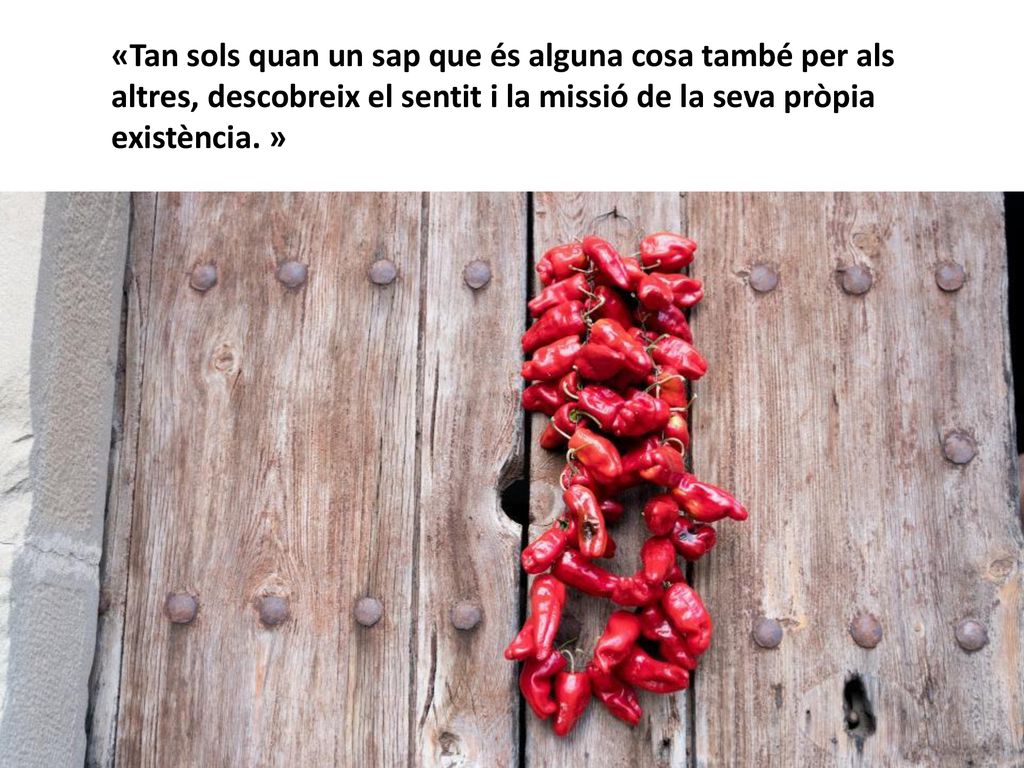 «Tan sols quan un sap que és alguna cosa també per als altres, descobreix el sentit i la missió de la seva pròpia existència. »