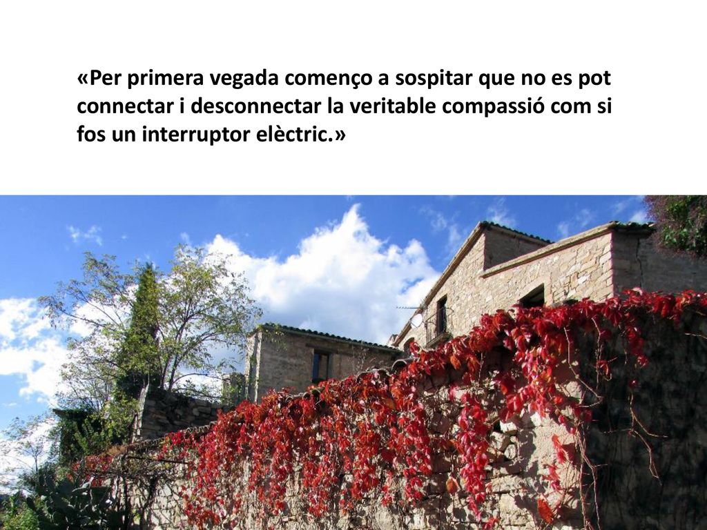 «Per primera vegada començo a sospitar que no es pot connectar i desconnectar la veritable compassió com si fos un interruptor elèctric.»