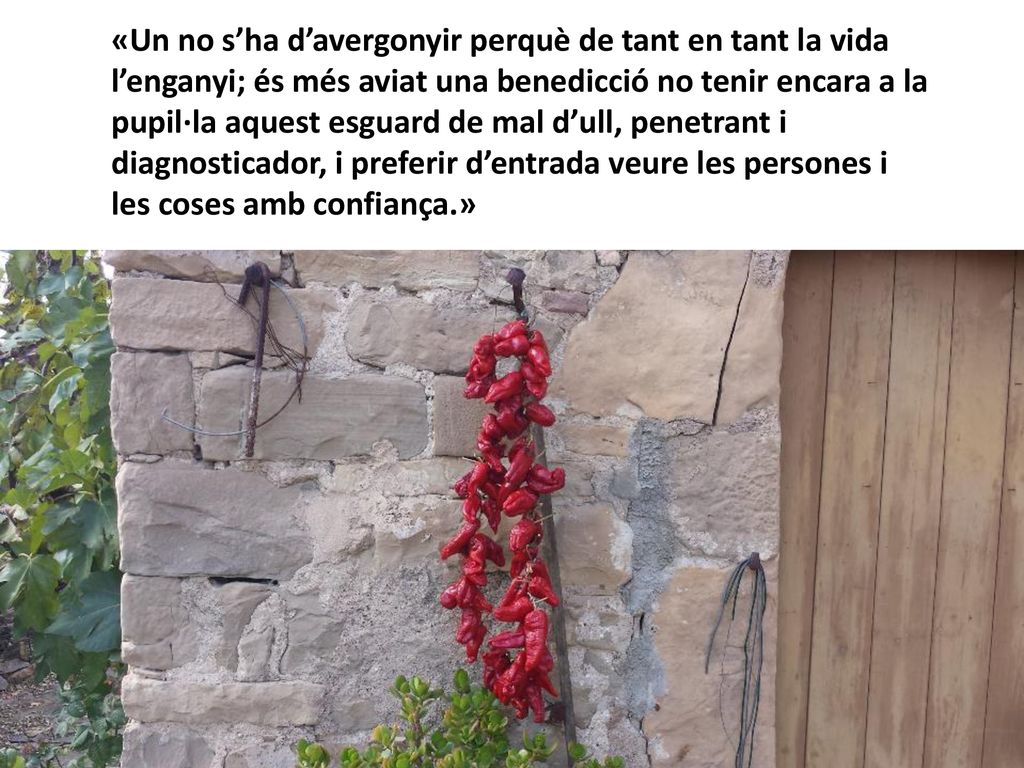 «Un no s’ha d’avergonyir perquè de tant en tant la vida l’enganyi; és més aviat una benedicció no tenir encara a la pupil·la aquest esguard de mal d’ull, penetrant i diagnosticador, i preferir d’entrada veure les persones i les coses amb confiança.»