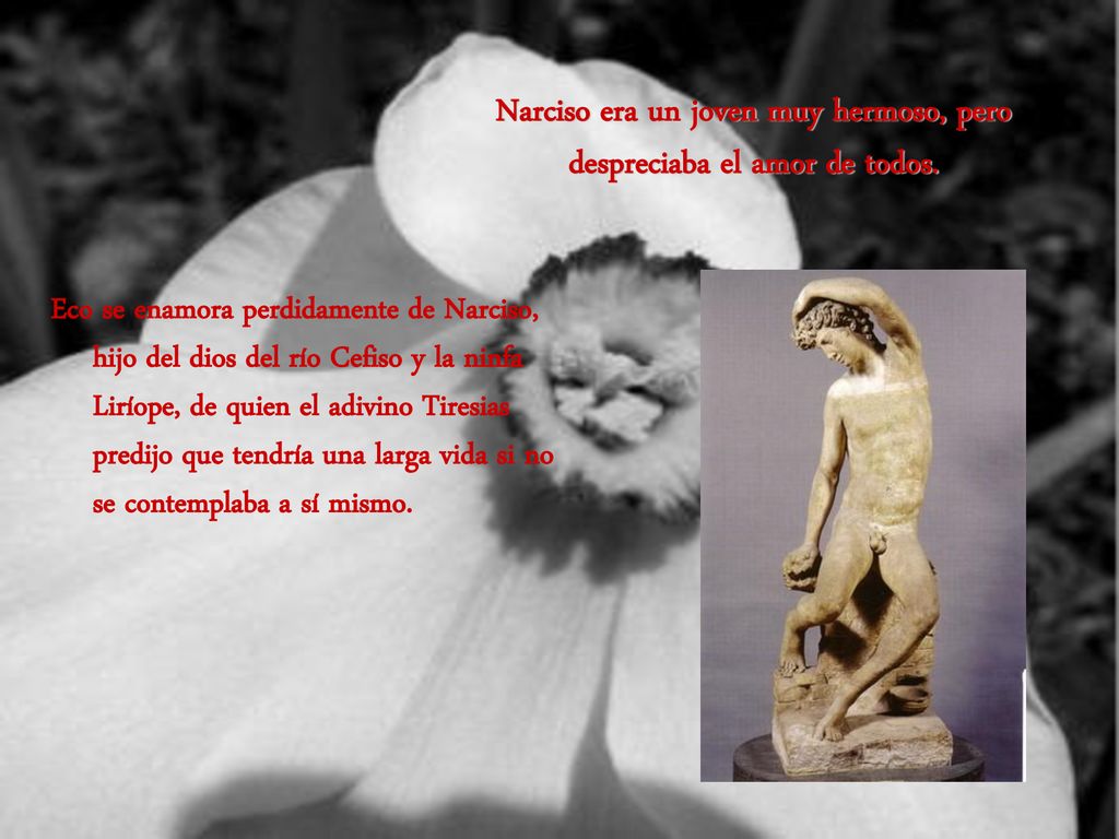 Narciso era un joven muy hermoso, pero despreciaba el amor de todos.