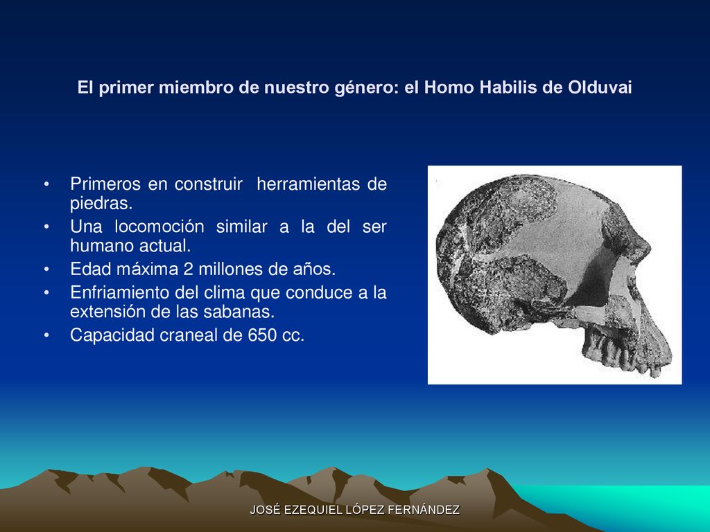 El primer miembro de nuestro género: el Homo Habilis de Olduvai