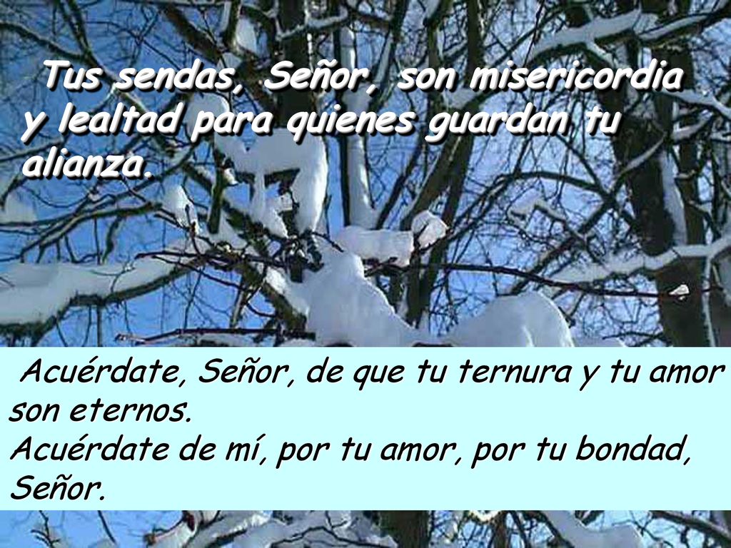Tus sendas, Señor, son misericordia y lealtad para quienes guardan tu alianza.