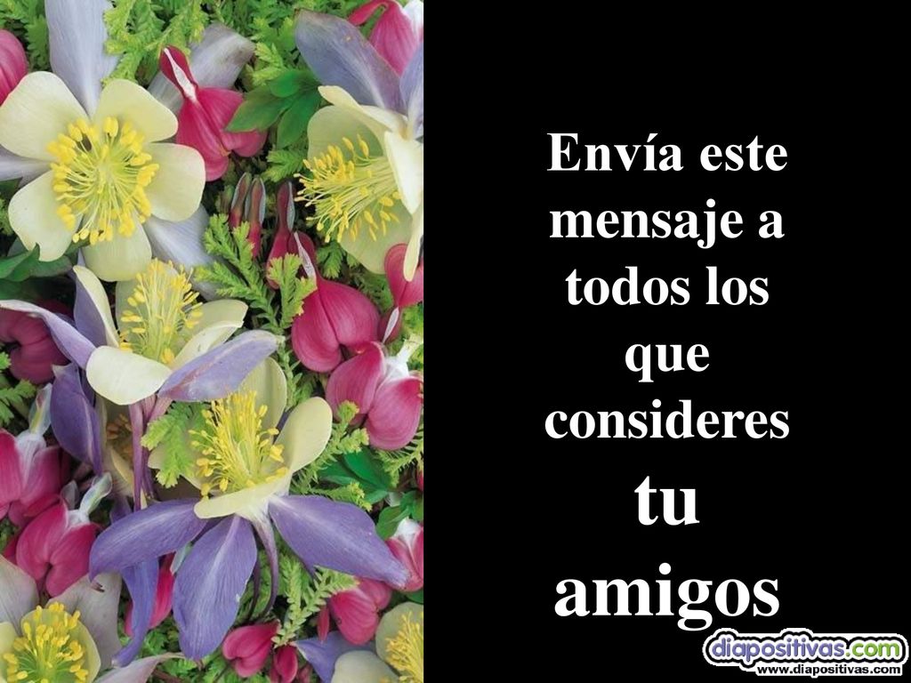 Envía este mensaje a todos los que consideres tu amigos