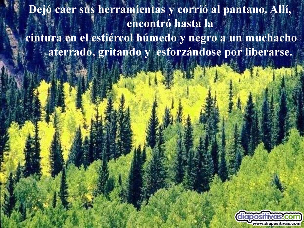 Dejó caer sus herramientas y corrió al pantano. Allí,