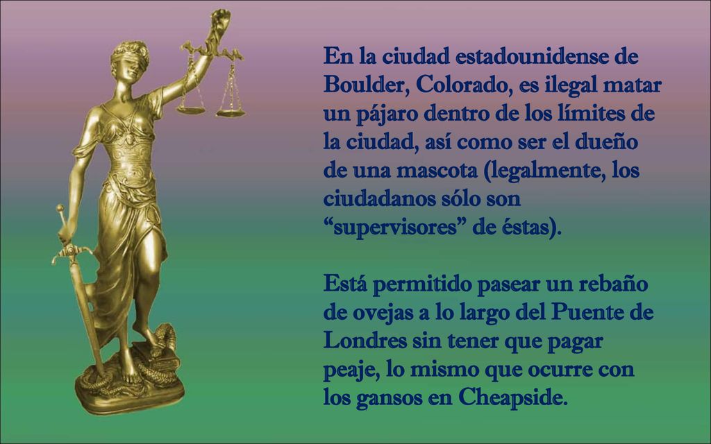 En la ciudad estadounidense de Boulder, Colorado, es ilegal matar un pájaro dentro de los límites de la ciudad, así como ser el dueño de una mascota (legalmente, los ciudadanos sólo son supervisores de éstas).