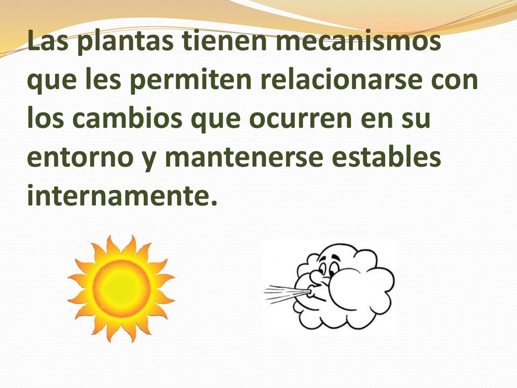 Las plantas tienen mecanismos que les permiten relacionarse con los cambios que ocurren en su entorno y mantenerse estables internamente.