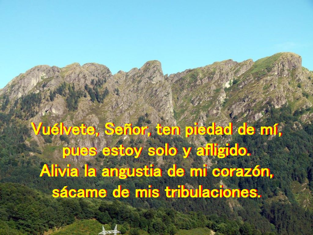 Vuélvete, Señor, ten piedad de mí, pues estoy solo y afligido.