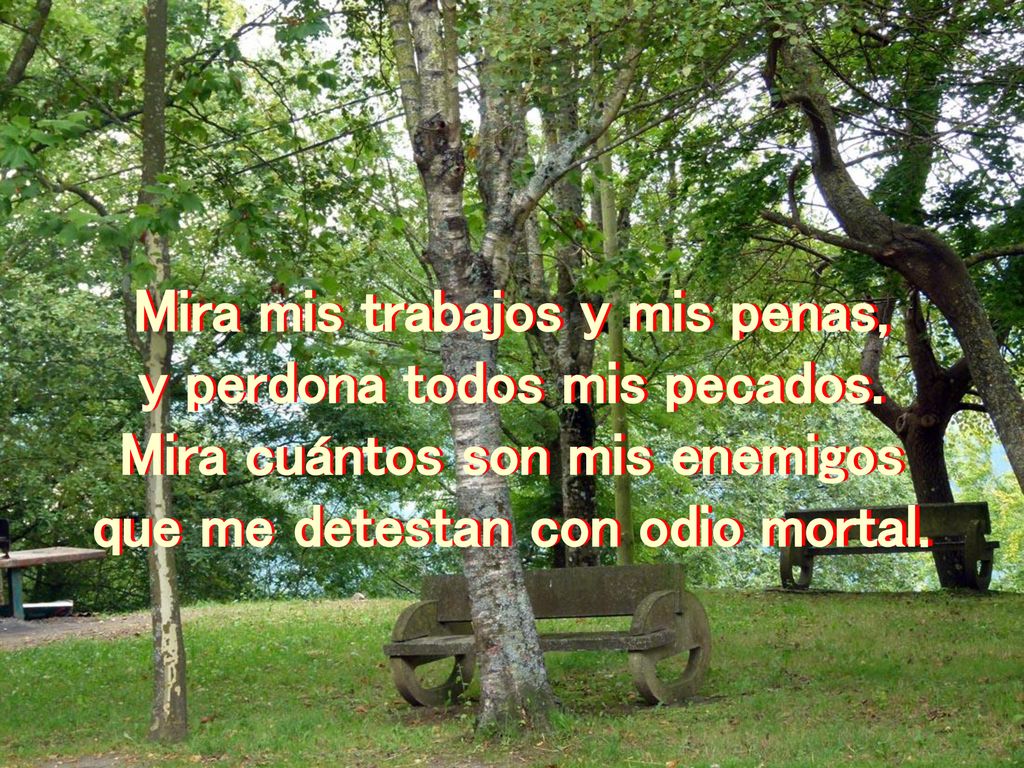 Mira mis trabajos y mis penas, y perdona todos mis pecados.