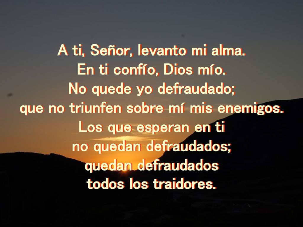 A ti, Señor, levanto mi alma. En ti confío, Dios mío.