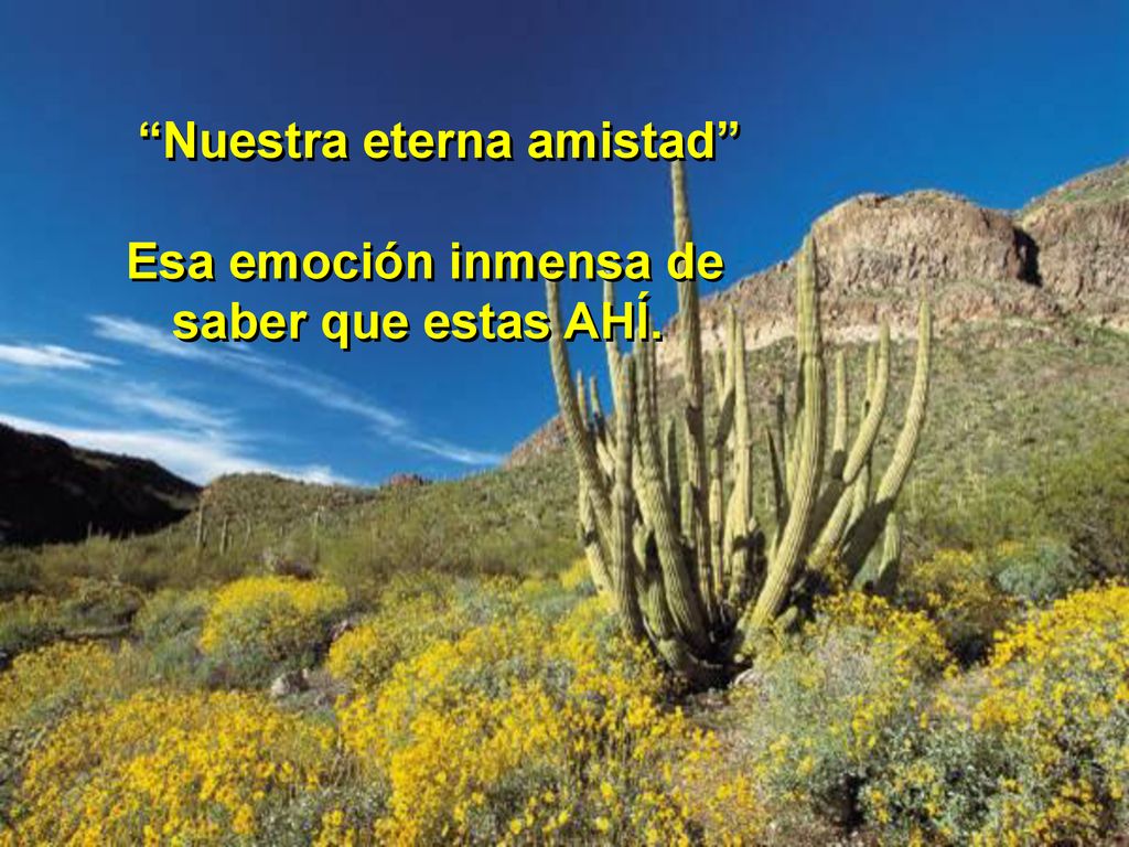 Nuestra eterna amistad Esa emoción inmensa de saber que estas AHÍ.