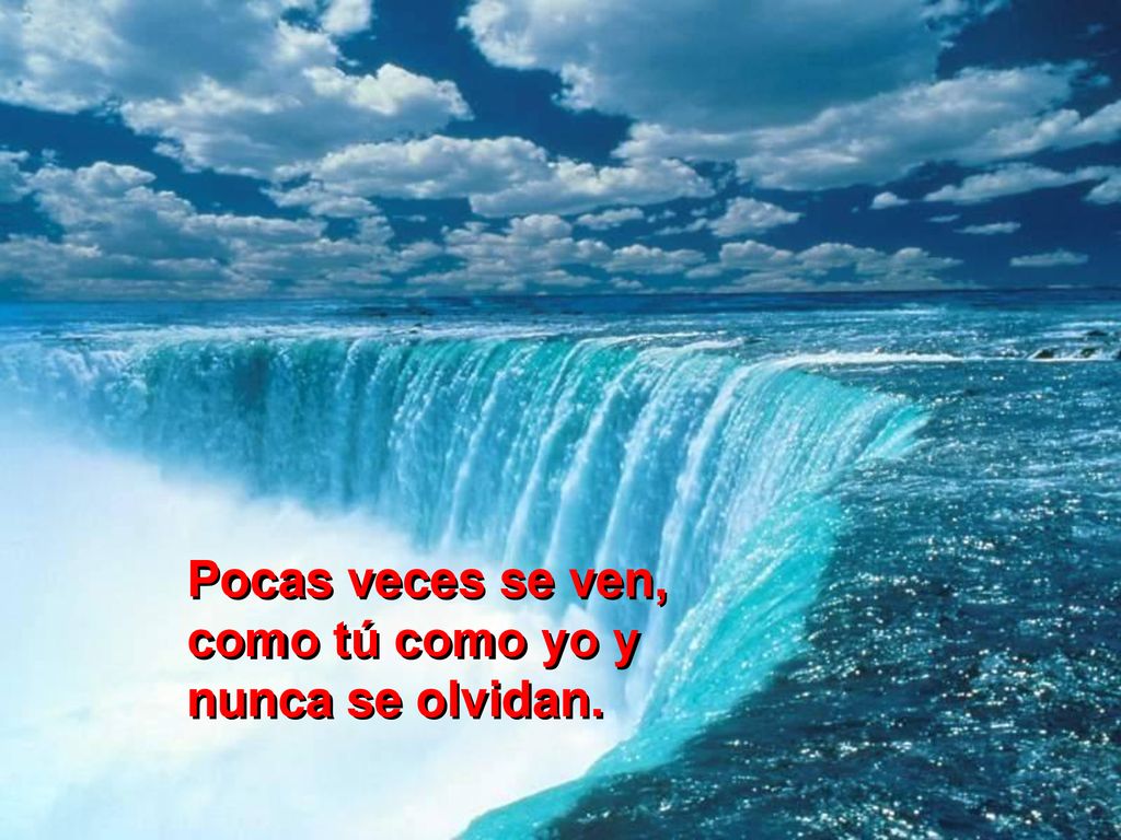 Pocas veces se ven, como tú como yo y nunca se olvidan.