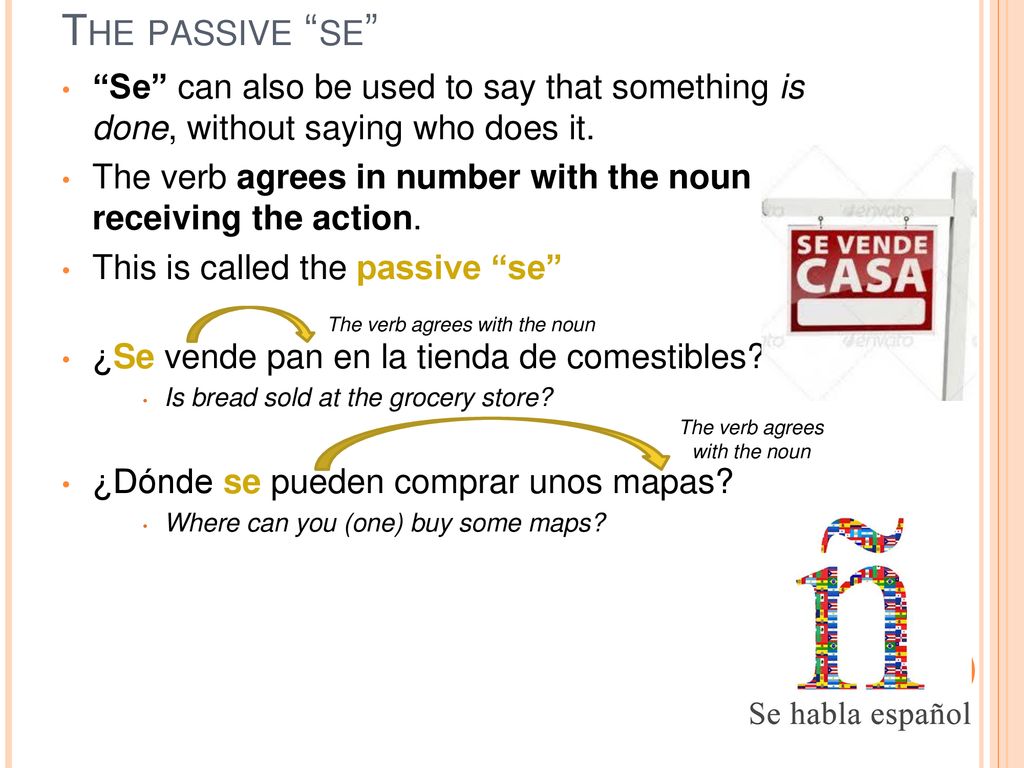 The passive se Se can also be used to say that something is done, without saying who does it.