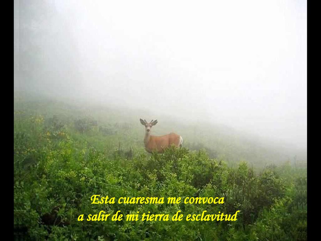 Esta cuaresma me convoca a salir de mi tierra de esclavitud
