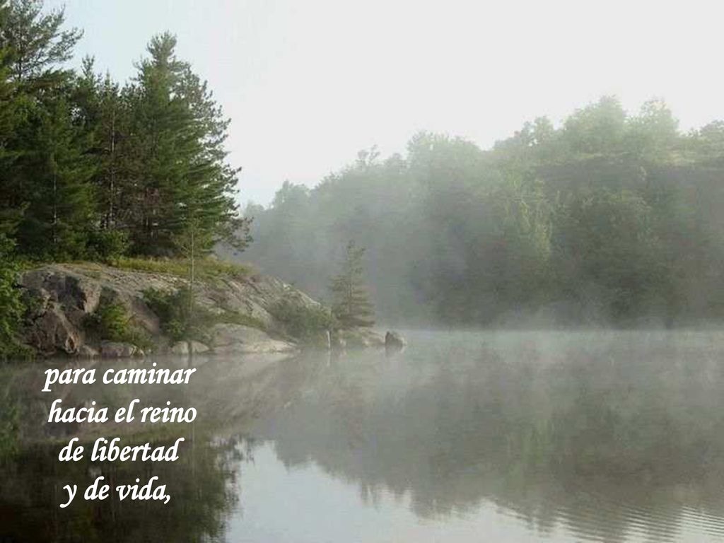 para caminar hacia el reino de libertad y de vida,