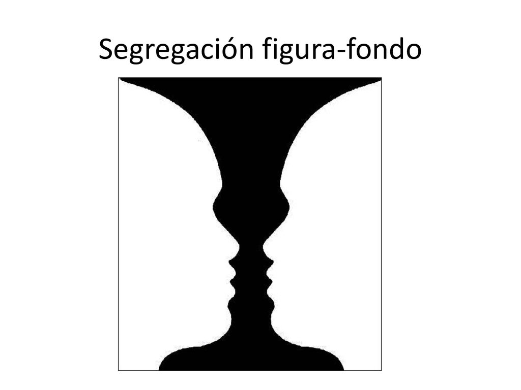 Percepci n ppt descargar