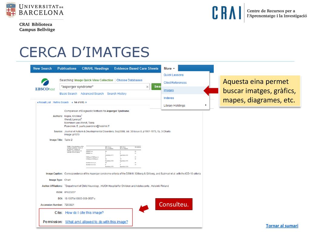 CERCA D’IMATGES Aquesta eina permet buscar imatges, gràfics, mapes, diagrames, etc.