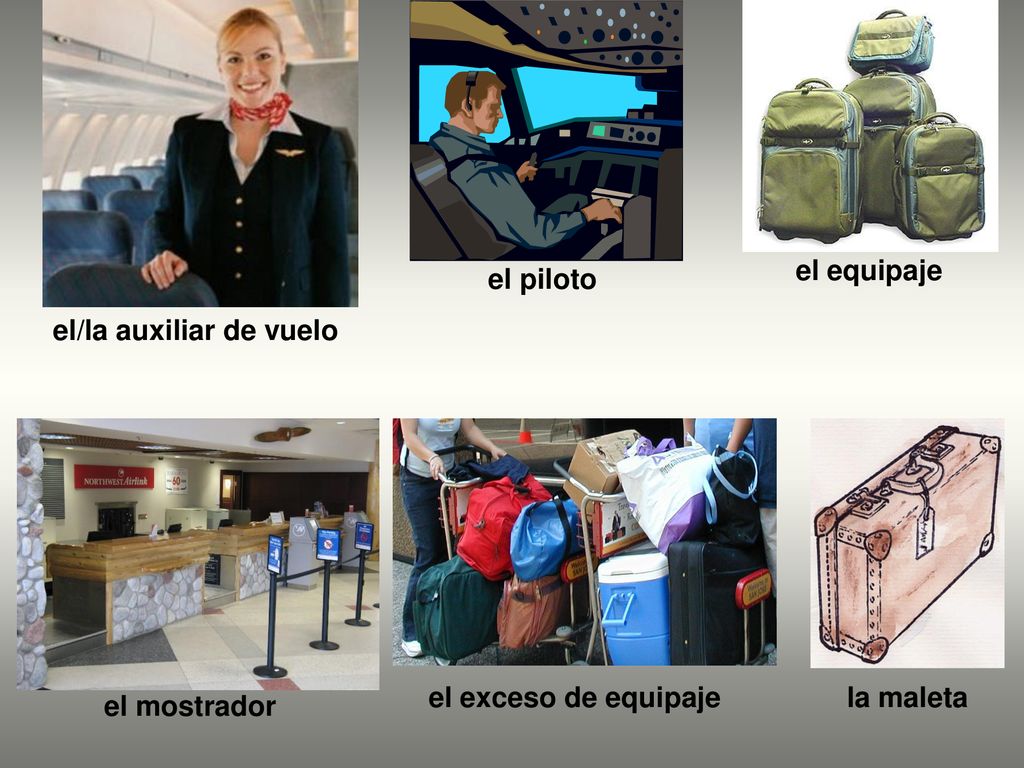 el equipaje el piloto el/la auxiliar de vuelo el exceso de equipaje la maleta el mostrador