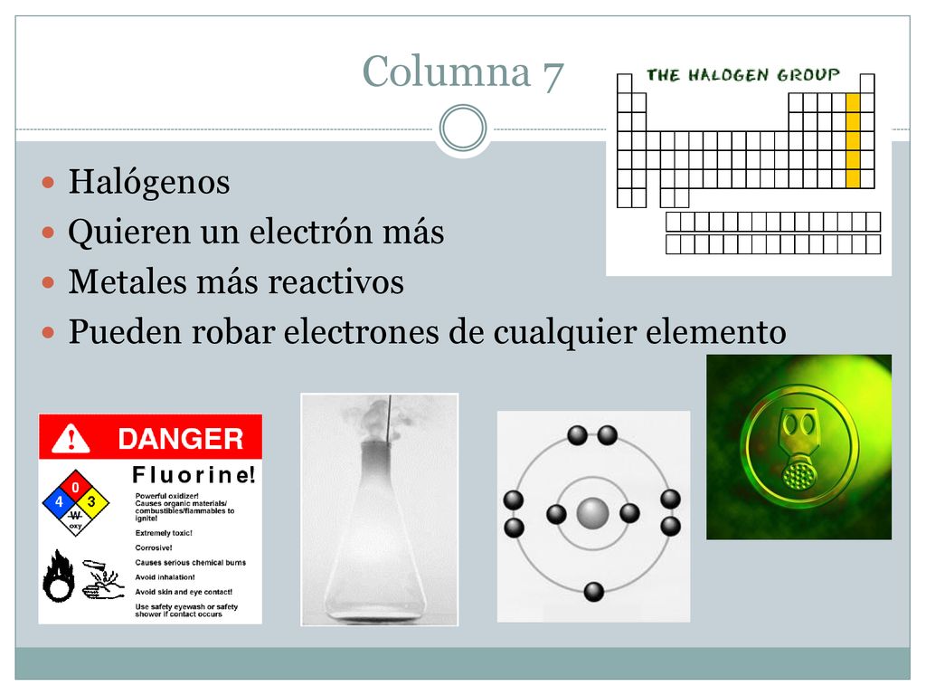 Columna 7 Halógenos Quieren un electrón más Metales más reactivos