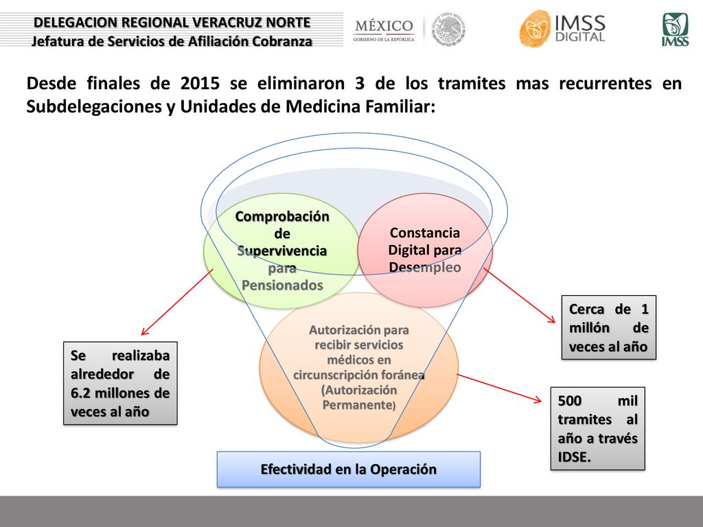 DELEGACION REGIONAL VERACRUZ NORTE Jefatura de Servicios de Afiliación Cobranza