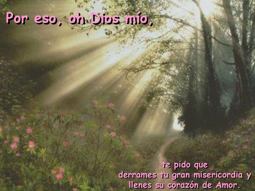 derrames tu gran misericordia y llenes su corazón de Amor.