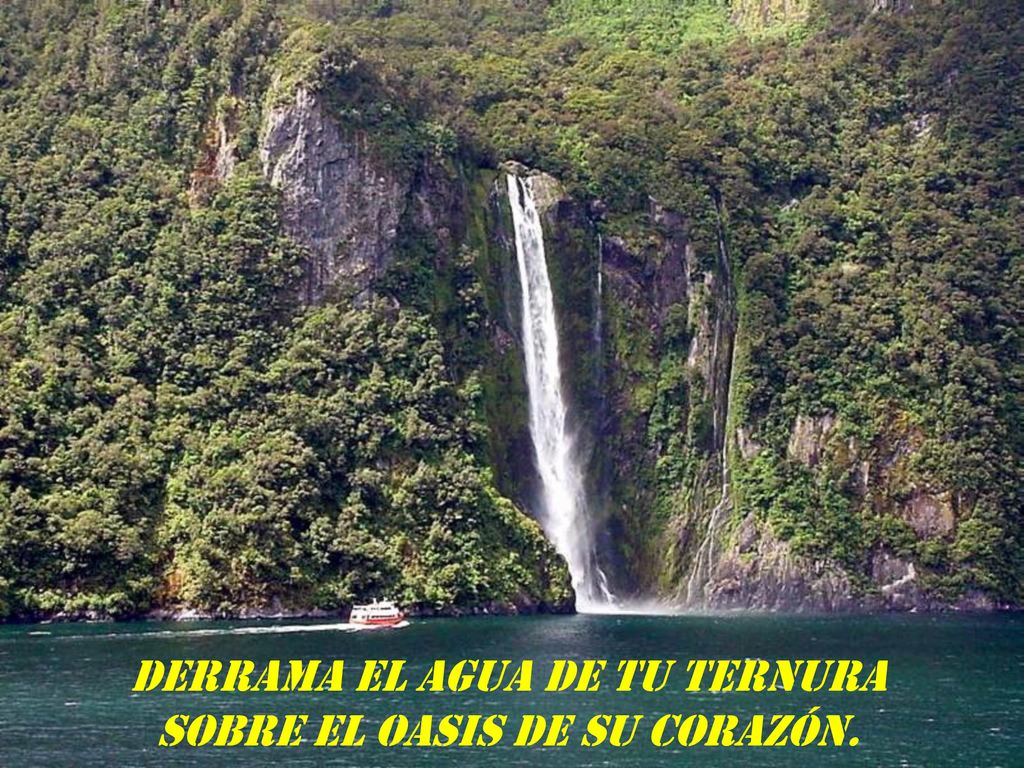 Derrama el agua de tu ternura sobre el oasis de su corazón.