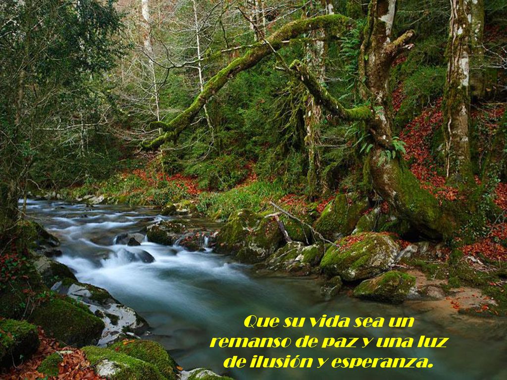 Que su vida sea un remanso de paz y una luz de ilusión y esperanza.