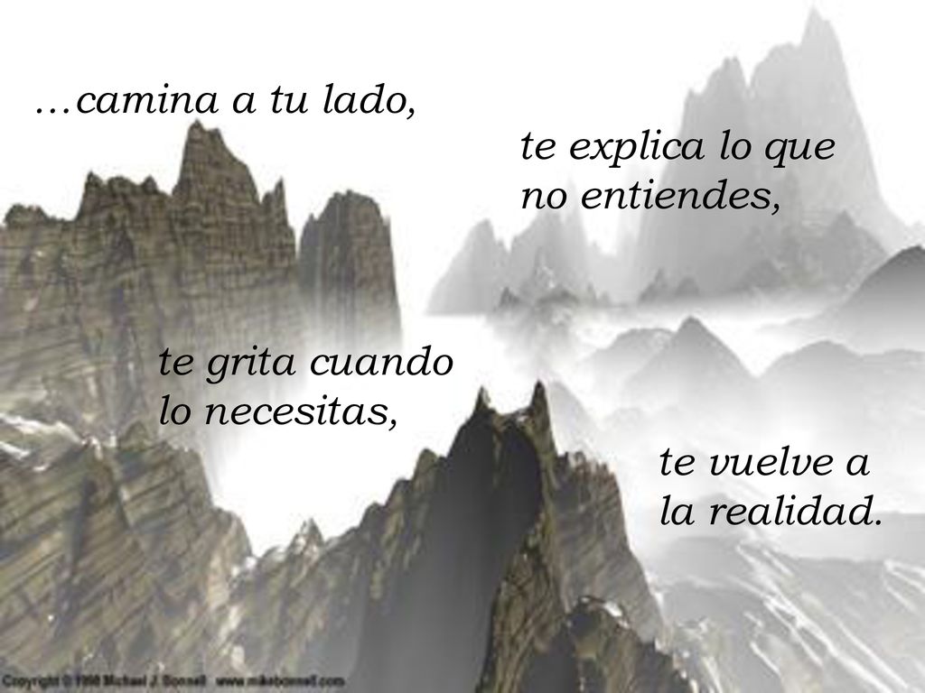 …camina a tu lado, te explica lo que no entiendes, te grita cuando lo necesitas, te vuelve a la realidad.