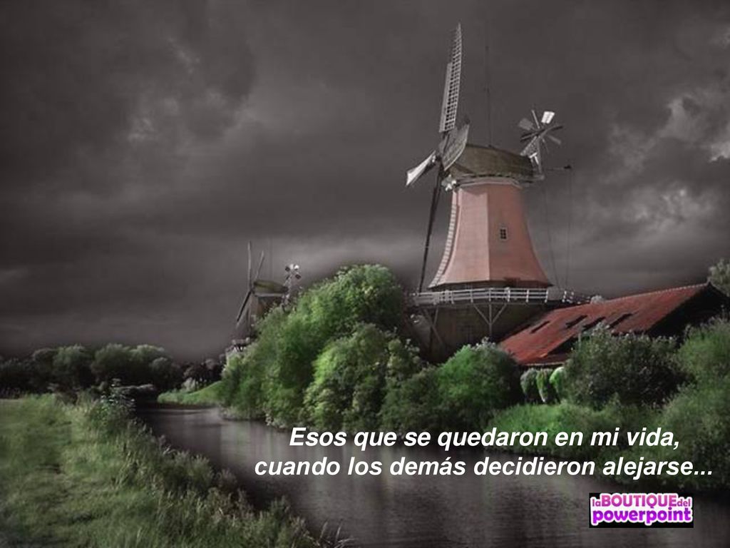 Esos que se quedaron en mi vida, cuando los demás decidieron alejarse...
