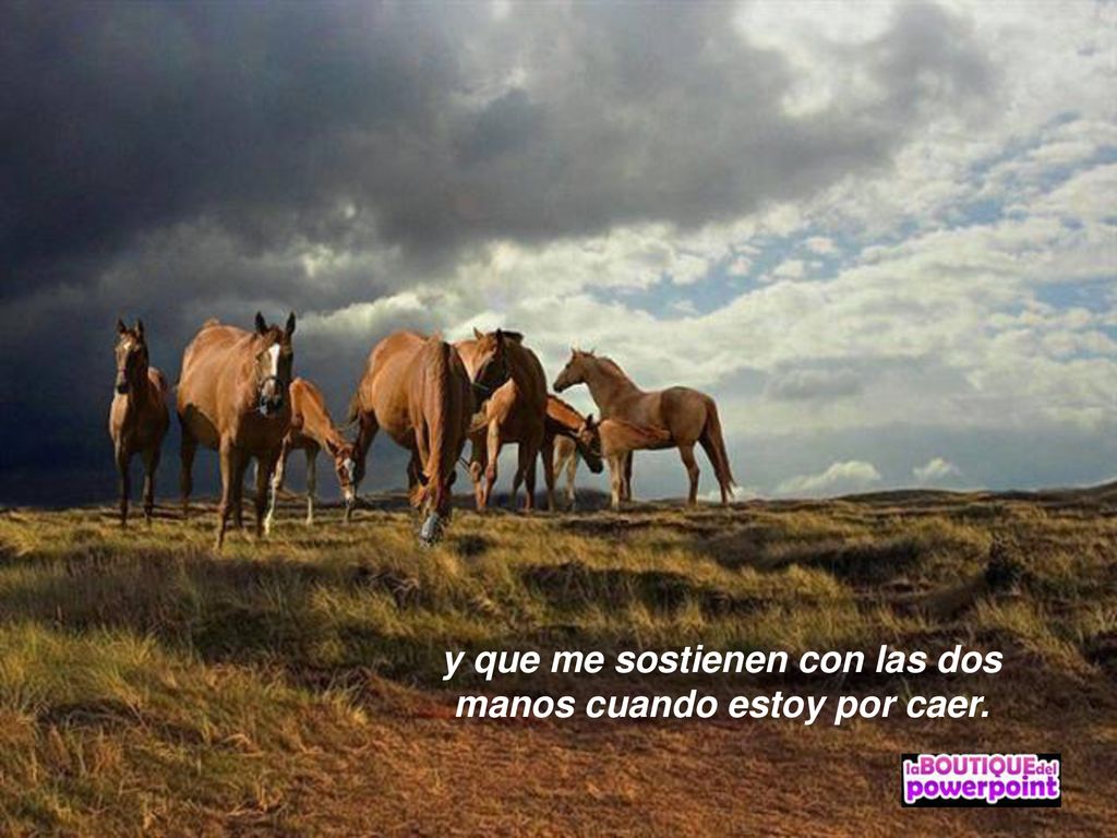 y que me sostienen con las dos manos cuando estoy por caer.
