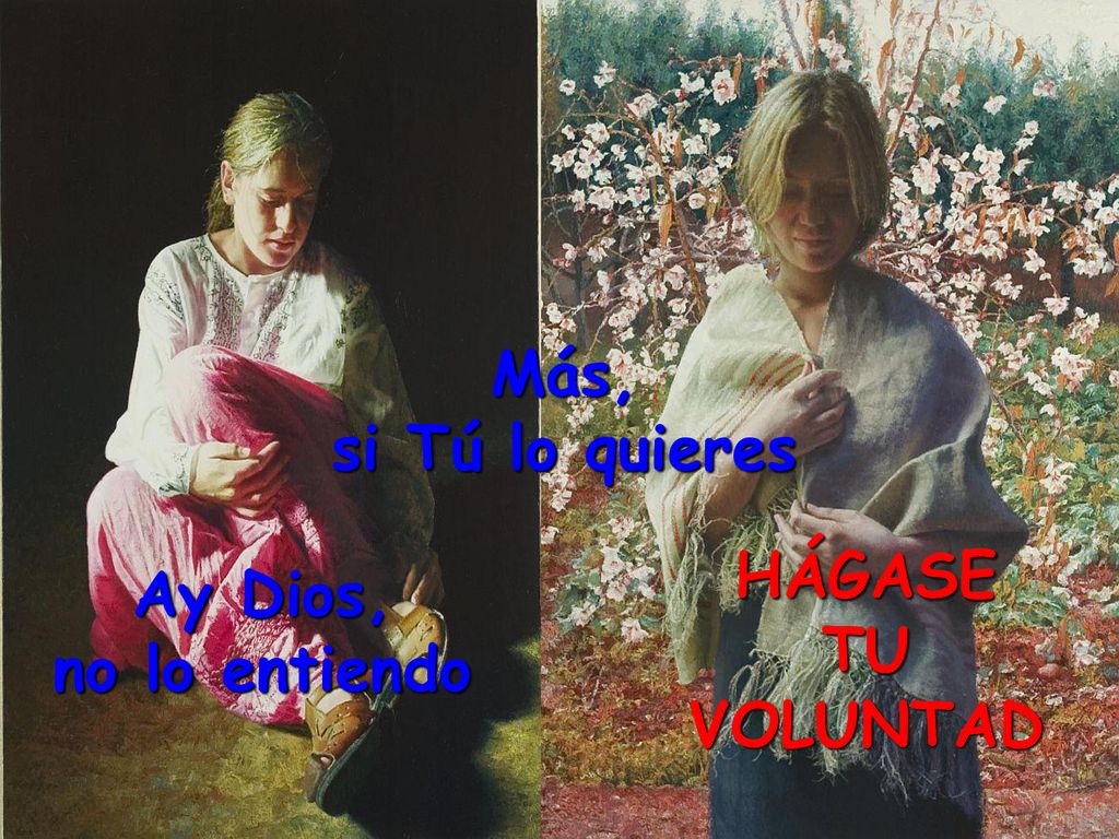 Más, si Tú lo quieres HÁGASE TU VOLUNTAD Ay Dios, no lo entiendo