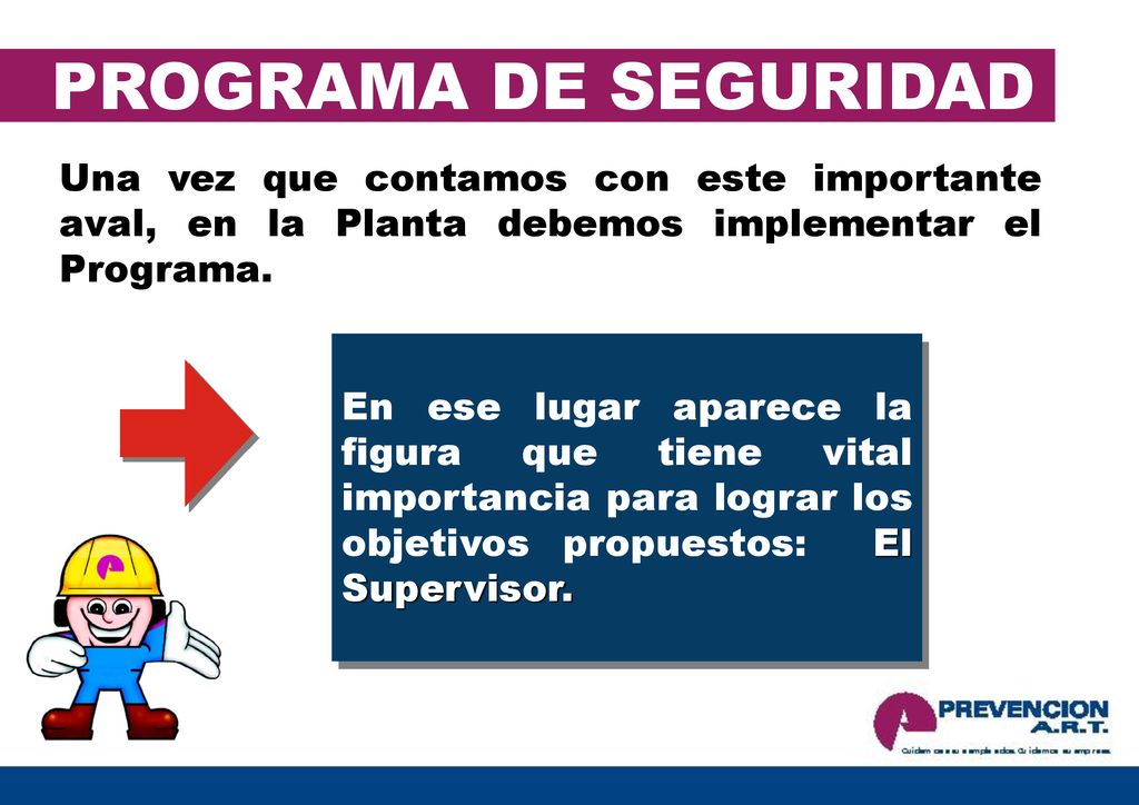 PROGRAMA DE SEGURIDAD Una vez que contamos con este importante aval, en la Planta debemos implementar el Programa.