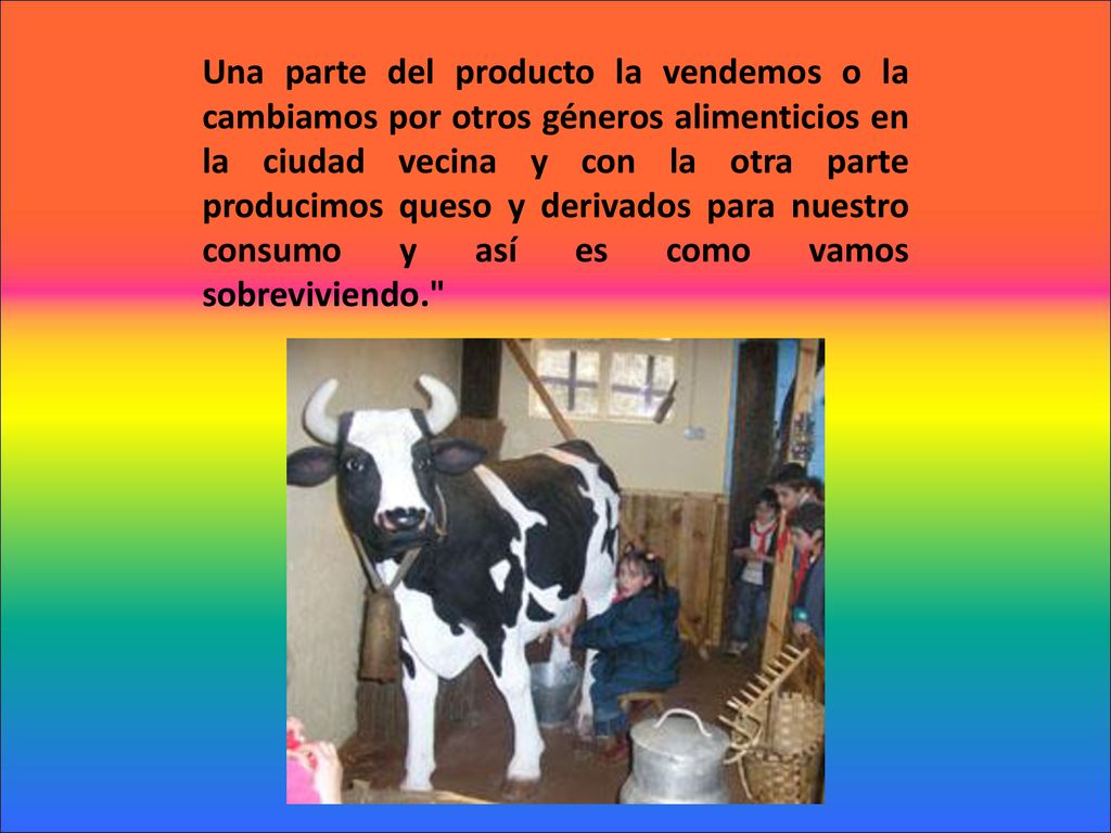 Una parte del producto la vendemos o la cambiamos por otros géneros alimenticios en la ciudad vecina y con la otra parte producimos queso y derivados para nuestro consumo y así­ es como vamos sobreviviendo.