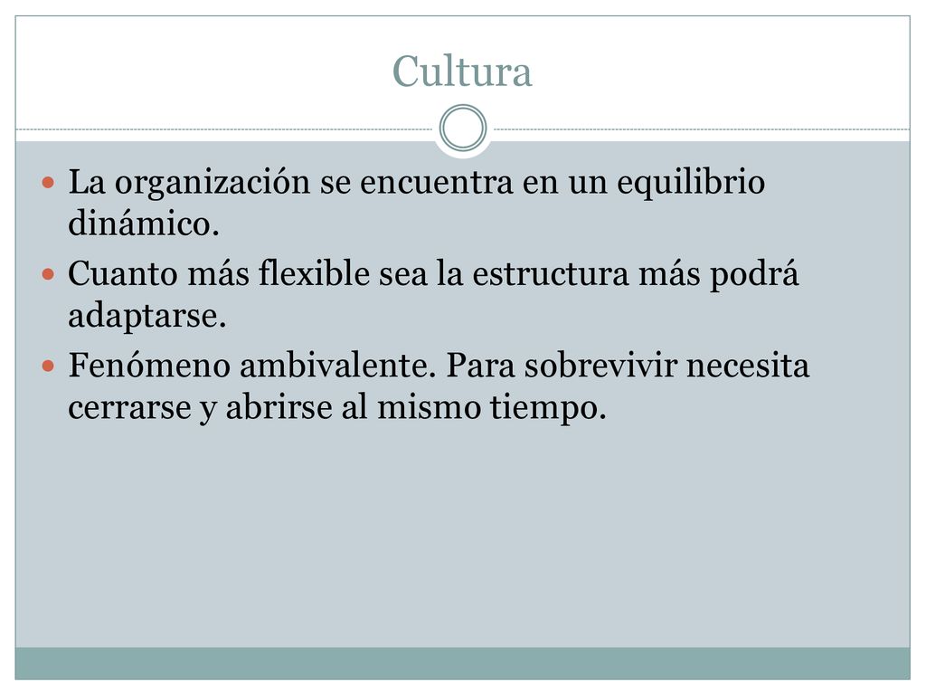 Cultura La organización se encuentra en un equilibrio dinámico.