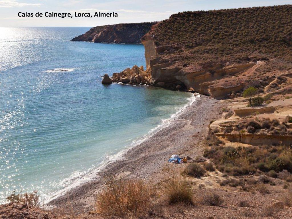 11-Calas de Calnegre (Lorca, Murcia) La relevancia de las calas de Calnegre (en la foto, una de ellas) tiene que ver con las formas que el Mediterráneo puede dar a una línea de acantilados semidesérticos. Entrando por Puntas de Calnegre, la primera cala en este tramo del parque regional de Cabo Cope y Puntas de Calnegre lleva por nombre, precisamente, Calnegre. Su arena dorada contrasta con la pizarra y es (avisa su bandera azul) la más frecuentada, amén de la más arriesgada: con levante fuerte se forman remolinos a la altura del chiringuito El Líos (recomendable reservar la paella, a partir del 16 de junio, en el ). Las reducidas dimensiones, la arena fina, el abrigado entrante del mar y la limpieza de sus aguas hacen de Baño de las Mujeres —la siguiente cala— un lugar de referencia. De continuar a El Siscal, el bañista encontrará un amplio varadero, hoy sin pulsión marinera. Si todavía no ha reparado en las comunidades de azucena de mar, es el momento de buscarlas (y respetarlas).