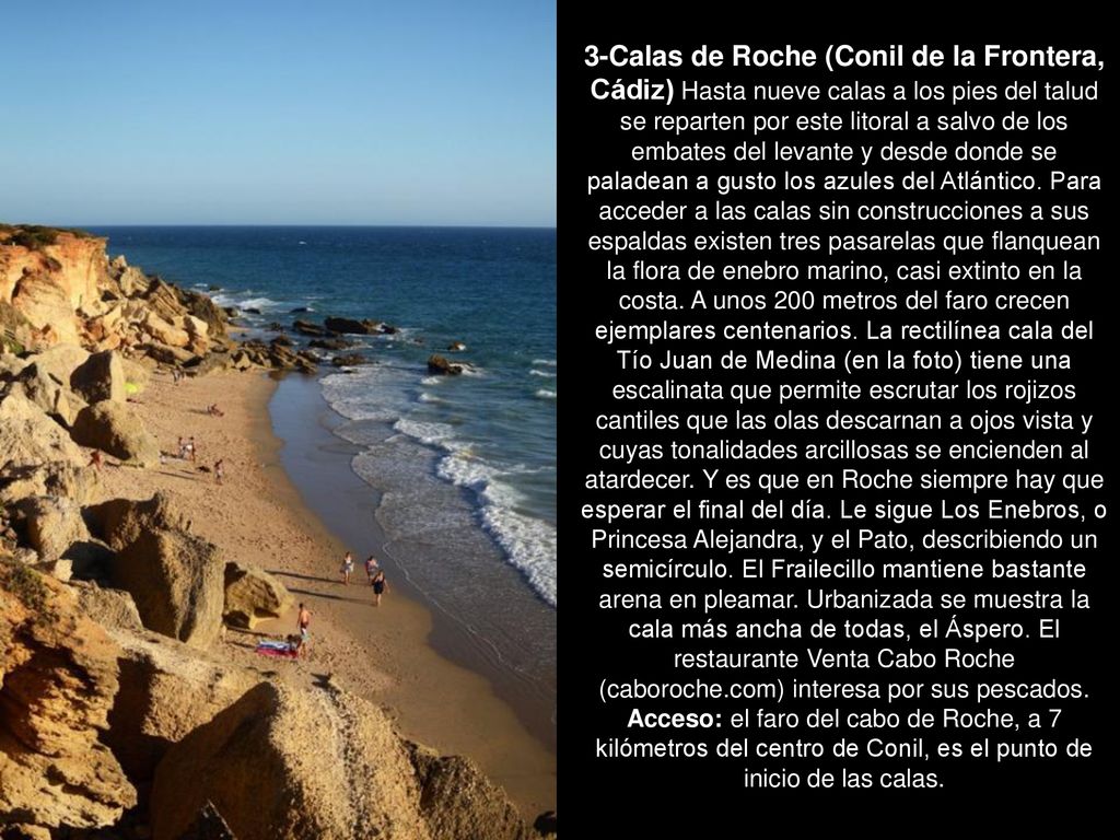 3-Calas de Roche (Conil de la Frontera, Cádiz) Hasta nueve calas a los pies del talud se reparten por este litoral a salvo de los embates del levante y desde donde se paladean a gusto los azules del Atlántico. Para acceder a las calas sin construcciones a sus espaldas existen tres pasarelas que flanquean la flora de enebro marino, casi extinto en la costa. A unos 200 metros del faro crecen ejemplares centenarios. La rectilínea cala del Tío Juan de Medina (en la foto) tiene una escalinata que permite escrutar los rojizos cantiles que las olas descarnan a ojos vista y cuyas tonalidades arcillosas se encienden al atardecer. Y es que en Roche siempre hay que esperar el final del día. Le sigue Los Enebros, o Princesa Alejandra, y el Pato, describiendo un semicírculo. El Frailecillo mantiene bastante arena en pleamar. Urbanizada se muestra la cala más ancha de todas, el Áspero. El restaurante Venta Cabo Roche (caboroche.com) interesa por sus pescados.