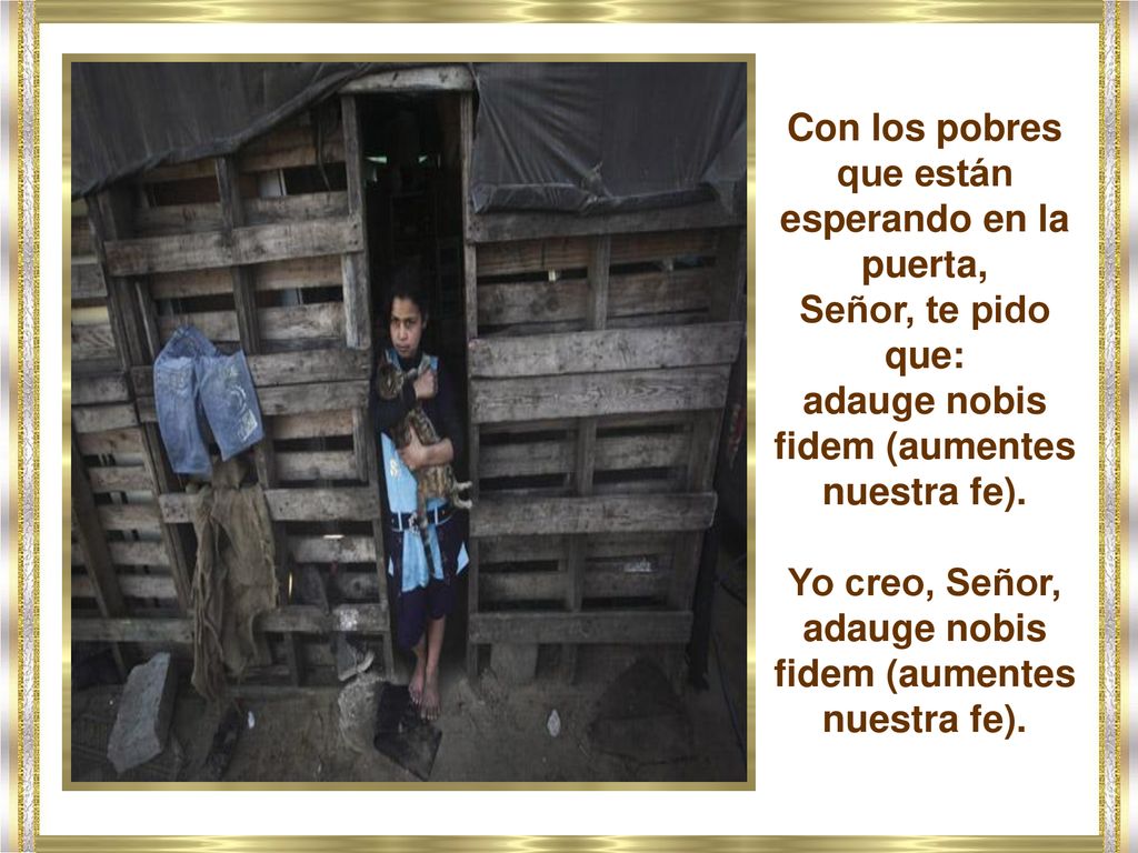 Yo creo, Señor, adauge nobis fidem (aumentes nuestra fe).
