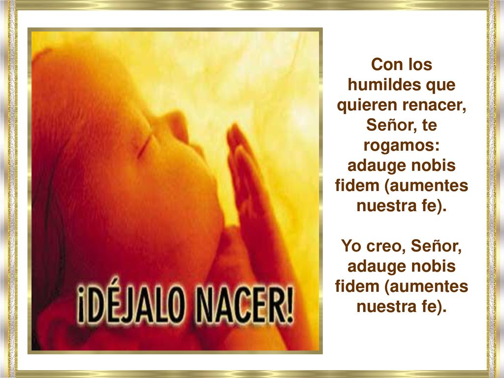 Yo creo, Señor, adauge nobis fidem (aumentes nuestra fe).