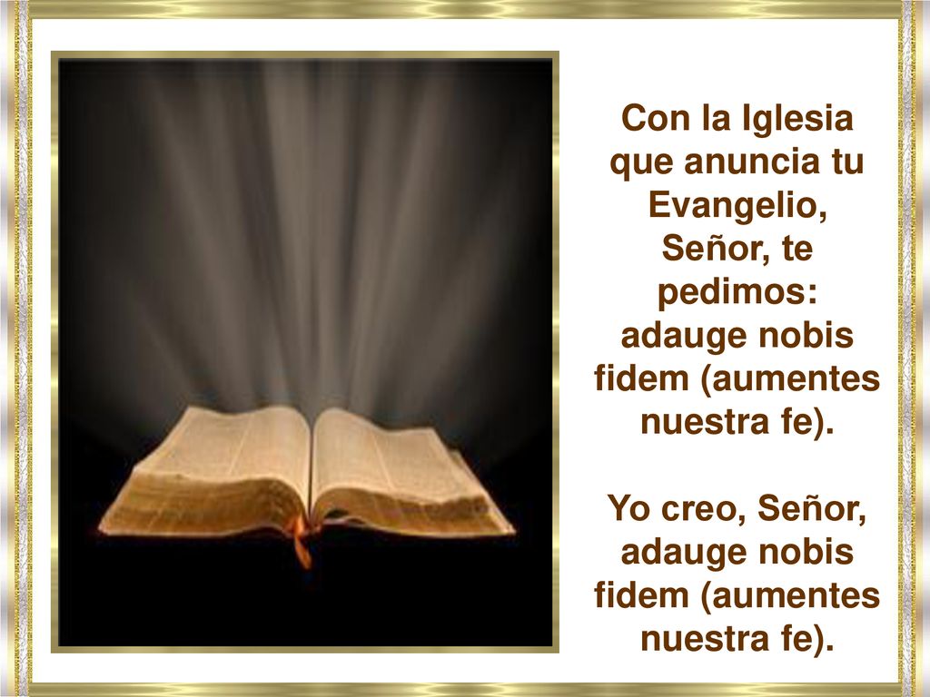 Yo creo, Señor, adauge nobis fidem (aumentes nuestra fe).