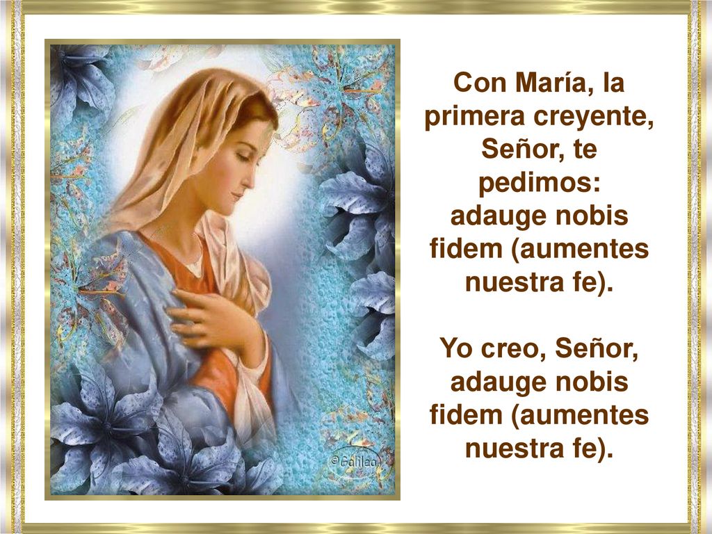 Yo creo, Señor, adauge nobis fidem (aumentes nuestra fe).
