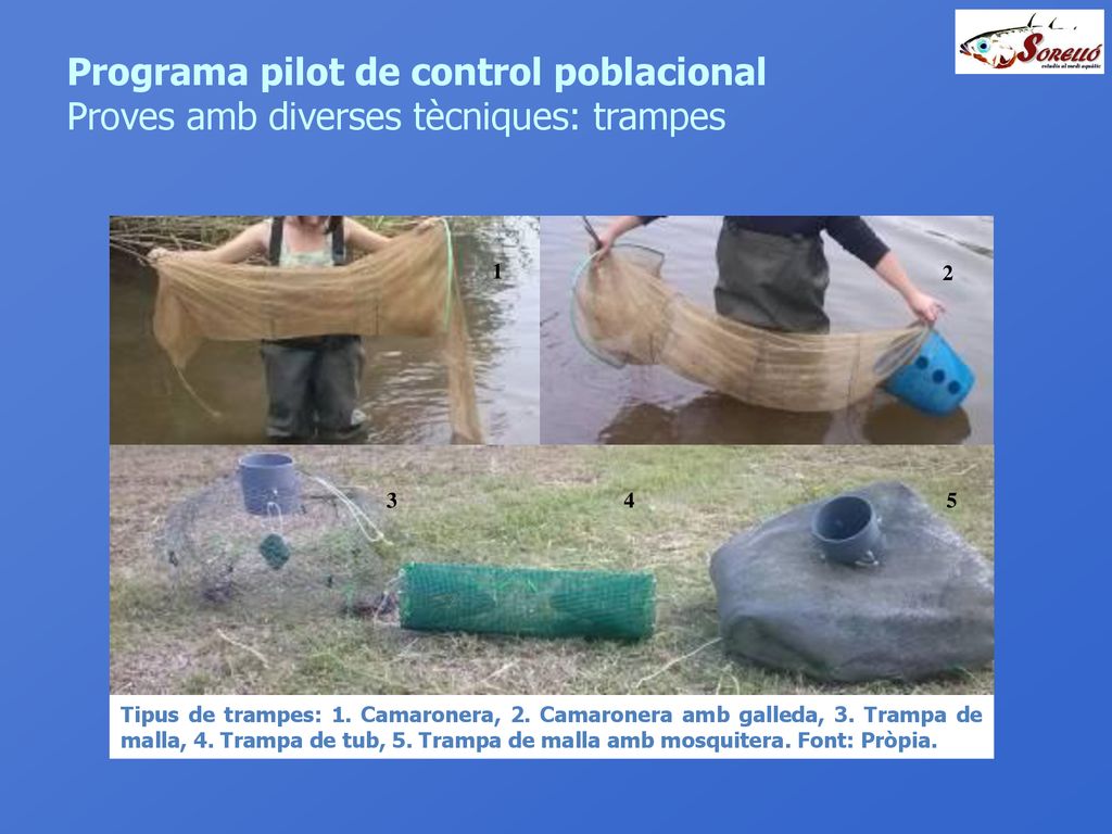 Programa pilot de control poblacional Proves amb diverses tècniques: trampes