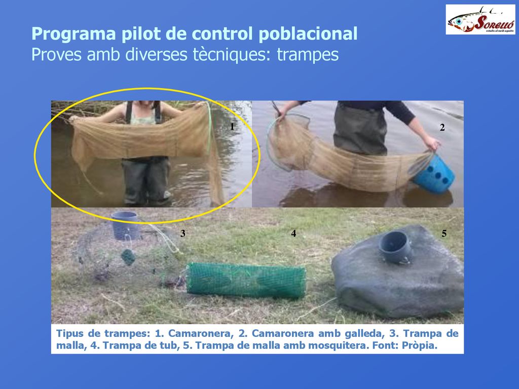Programa pilot de control poblacional Proves amb diverses tècniques: trampes
