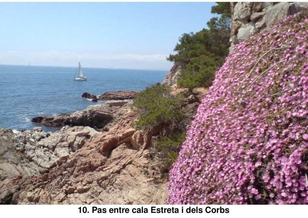 10. Pas entre cala Estreta i dels Corbs