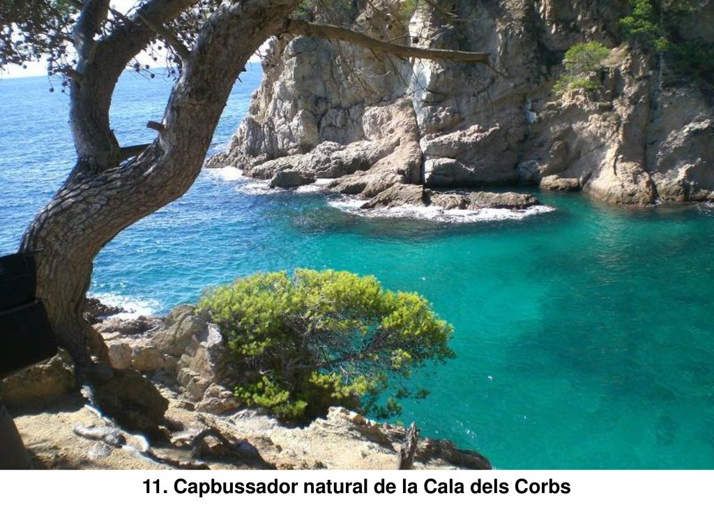 11. Capbussador natural de la Cala dels Corbs