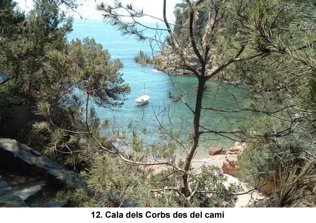12. Cala dels Corbs des del camí